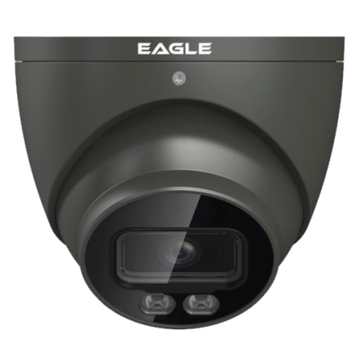 EAGLE Analogue Cameras